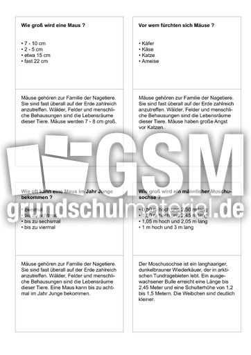 Säugetiere 02.pdf